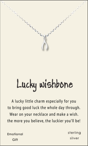 lucky Wishbone silver pendant